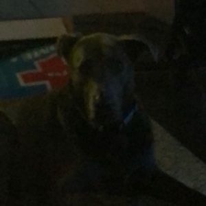 Meet your Posher, Janet